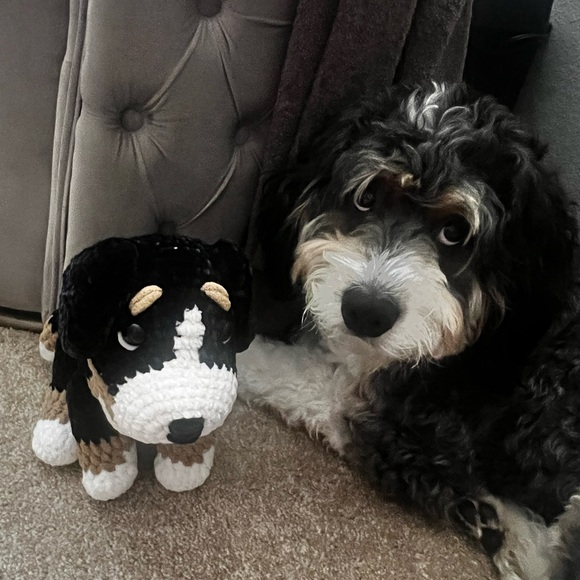 SURPRISE HAPPY MAIL - Picture 10 of 16